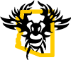 phxbees phxbees