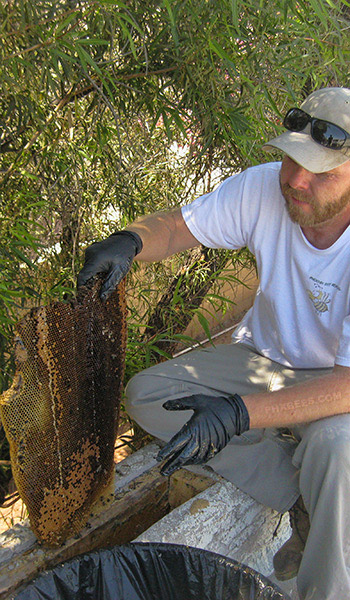 Honeycomb removal from a parapet wall Honeycomb removal from a parapet wall